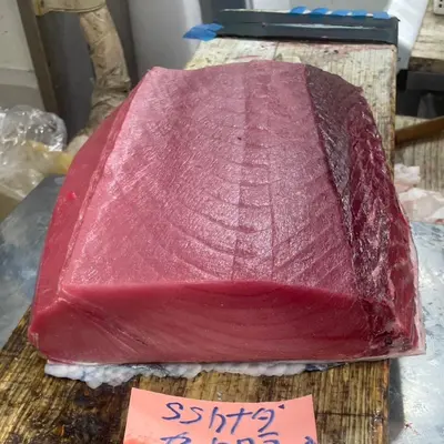 中トロ  Honmaguro CHU TORO AAA (MARBLED)