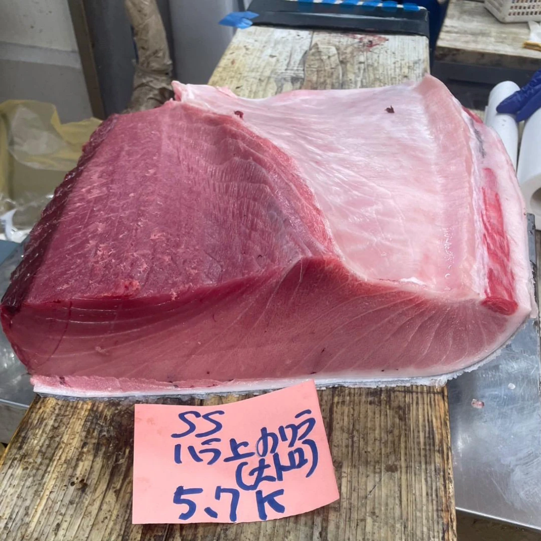 HONMAGURO O TORO AAA - (FATTY) FRESH FARMED BLUEFIN TUNA - Thunnus orientalis.png