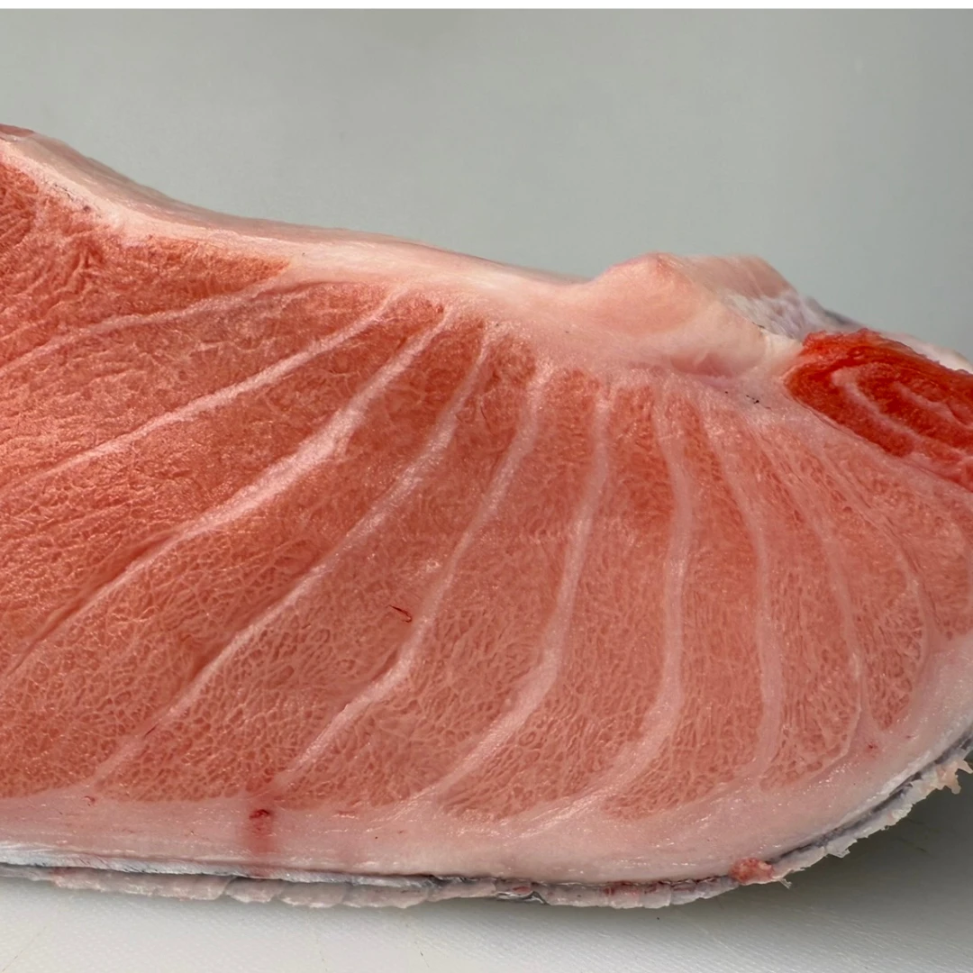 HONMAGURO O TORO AAA - (FATTY) FRESH FARMED BLUEFIN TUNA - Thunnus orientalis (7).png