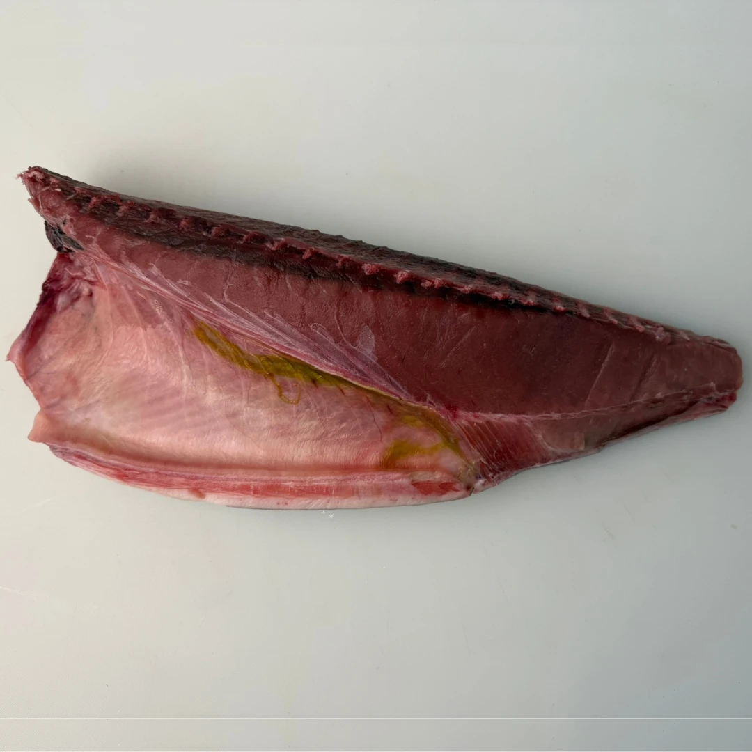 MEJI MAGURO - JUVENILE BLUEFIN TUNA - Thunnus orientalis.png