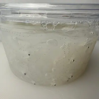 NORESORE - FRESH WILD CONGER EEL LARVA - Conger myriaster (2).png