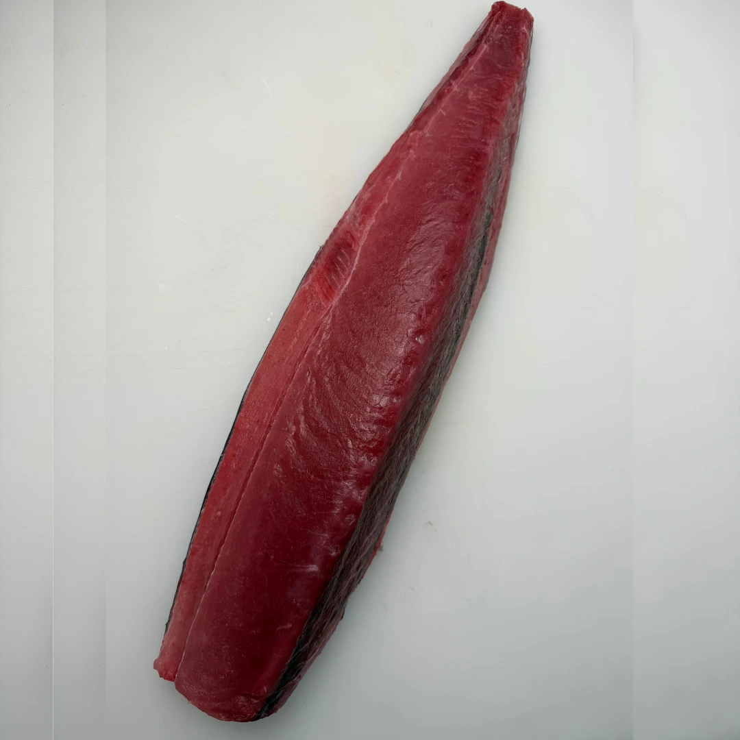 MEJI MAGURO - JUVENILE BLUEFIN TUNA - Thunnus orientalis 6.png