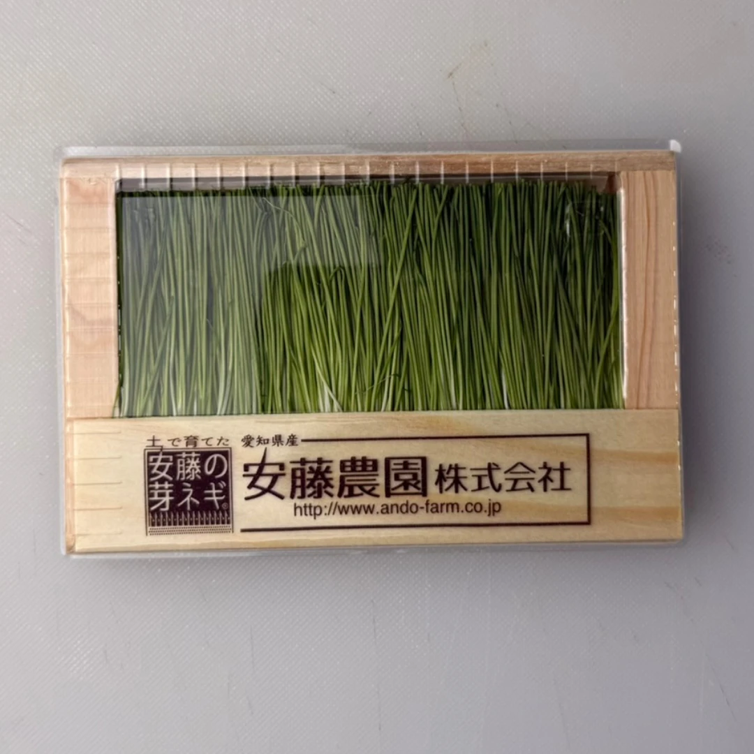 MENEGI - GREEN ONION SPROUTS - Allium fistulosum.png