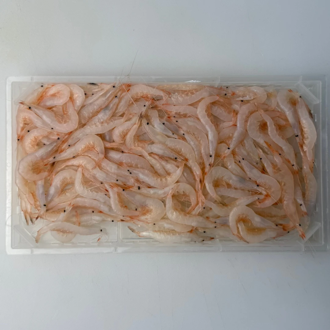 SHIRO EBI -  FRESH WILD BABY WHITE SHRIMP - Neomysis japonica.png