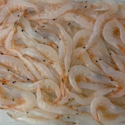 白海老  Shiro Ebi WILD WHOLE 200g