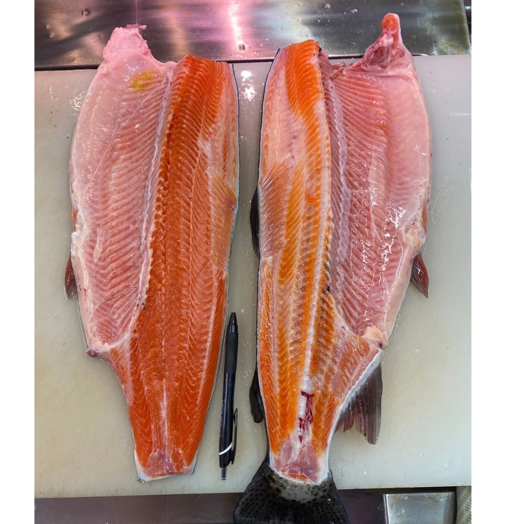 FUJI SALMON - FRESH FARMED FUJI SALMON - Oncorhynchus mykiss (2).png