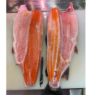 FUJI SALMON - FRESH FARMED FUJI SALMON - Oncorhynchus mykiss (2).png