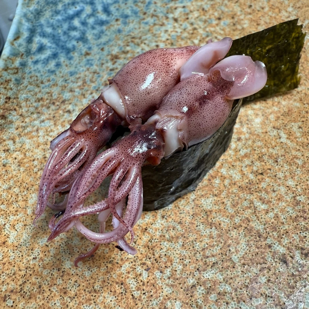 HOTARU IKA - FRESH BOILED FIREFLY SQUID - Watasenia scintillans.png