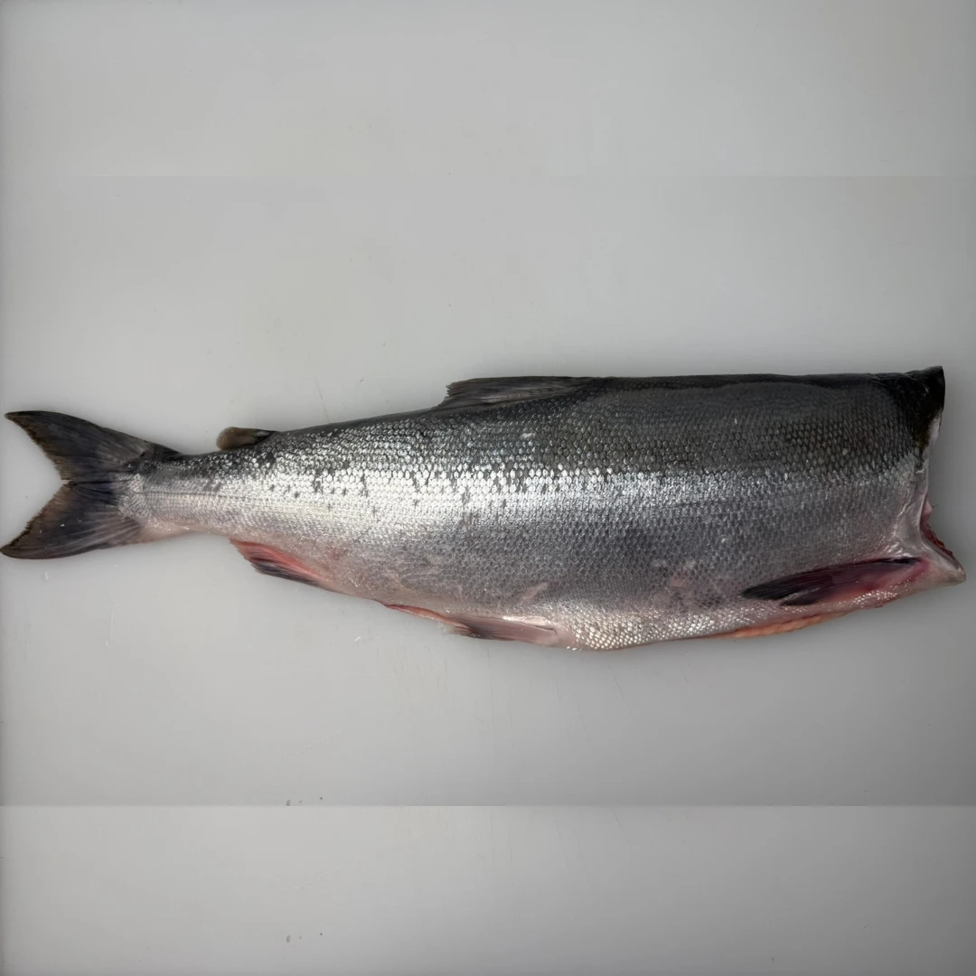 copper river BENIZAKE - FRESH WILD SOCKEYE SALMON WHOLE - Oncorhynchus nerka.png
