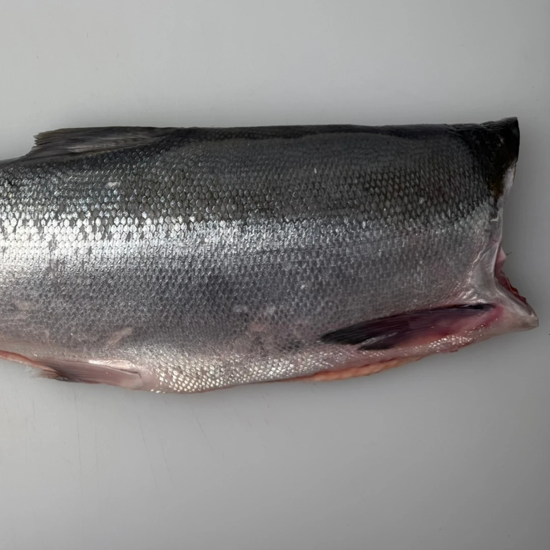 copper river BENIZAKE - FRESH WILD SOCKEYE SALMON WHOLE - Oncorhynchus nerka (3).png