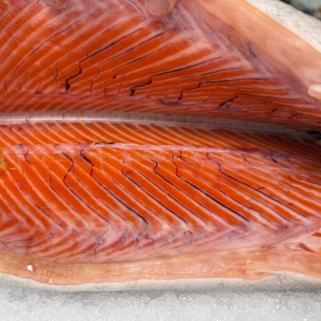 MASUMOSUKE - FRESH WILD KING SALMON - Oncorhynchus tshawytscha (5).png