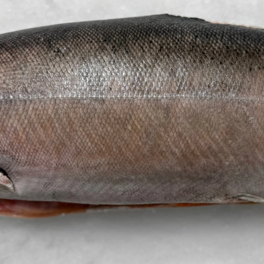 MASUMOSUKE - FRESH WILD KING SALMON - Oncorhynchus tshawytscha (3).png