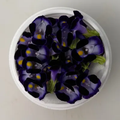 SHOKUYŌ HANA (TORENIA MURASAKI) - WISHBONE EDIBLE FLOWER (Purple) - Torenia.png