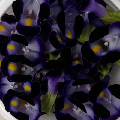 SHOKUYŌ HANA (TORENIA MURASAKI) - WISHBONE EDIBLE FLOWER (Purple) - Torenia (2).png