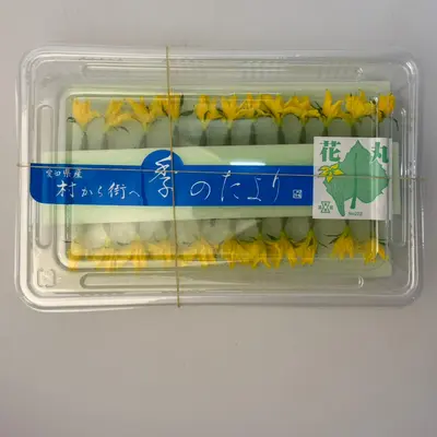 HANAMARU KYŪRI - CUCUMBER EDIBLE FLOWER - Cucumis sativus.png