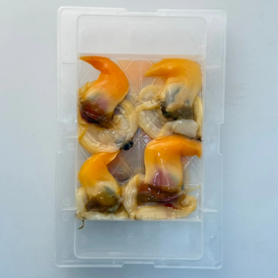 AOYAGI MUKI - FRESH SHUCKED ROUND CLAM MEAT - Tapes philippinarum.png