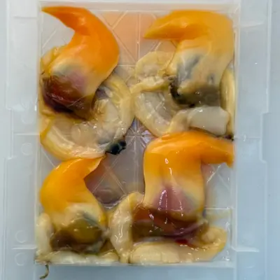 青柳貝  Muki Aoyagi MEAT 