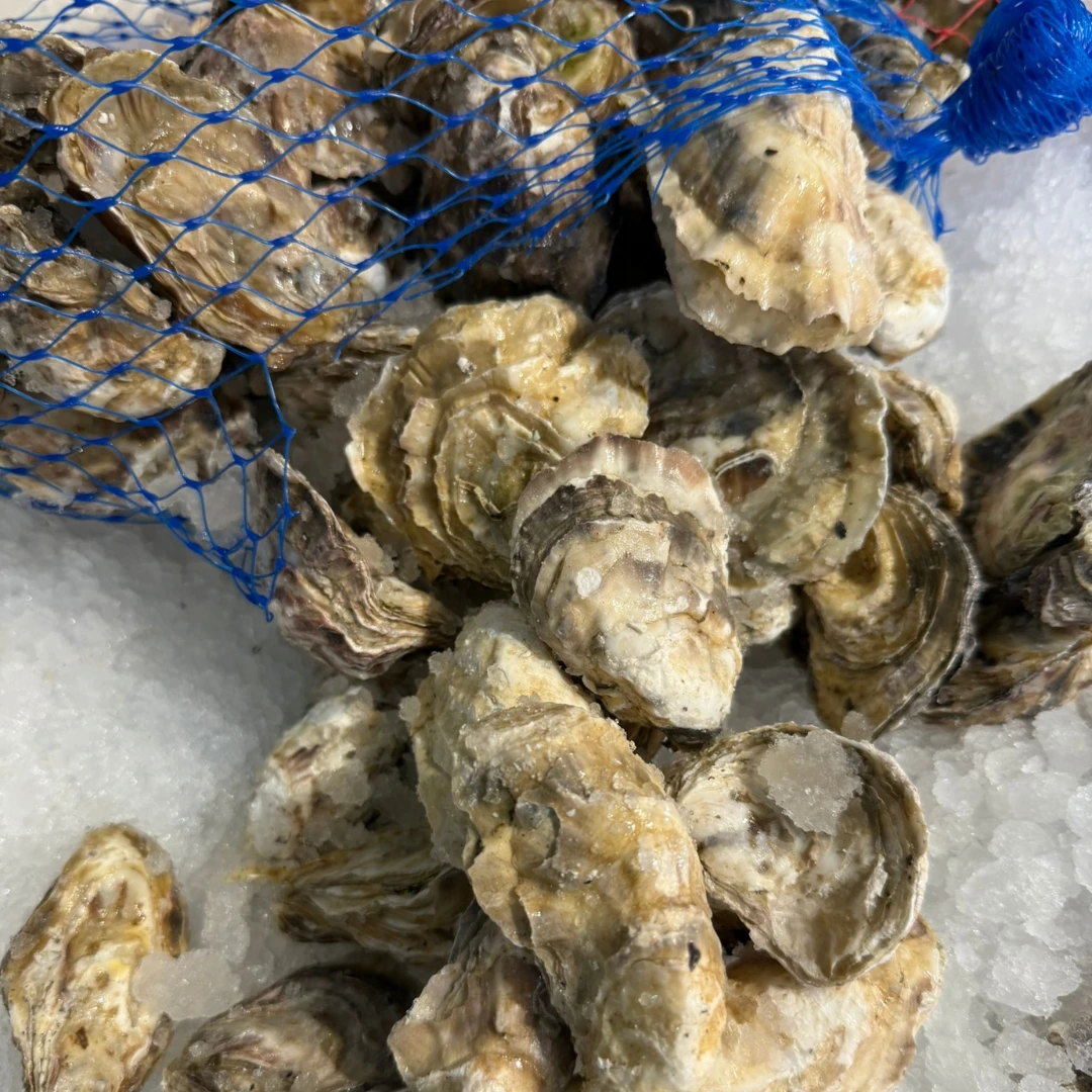 Gwi Gwi Oysters.png