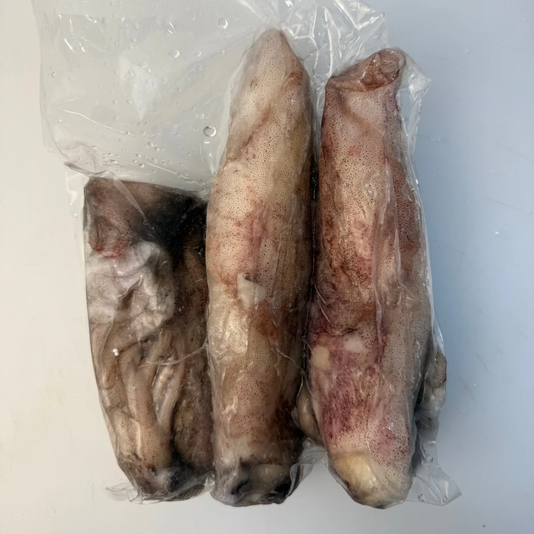 CHIPIRONES  Loligo Vulgaris SPANISH SQUID 200-350g (2).png