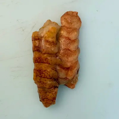  冷凍ロブスター肉  Lobster Meat TAIL ONLY 2-3oz Each