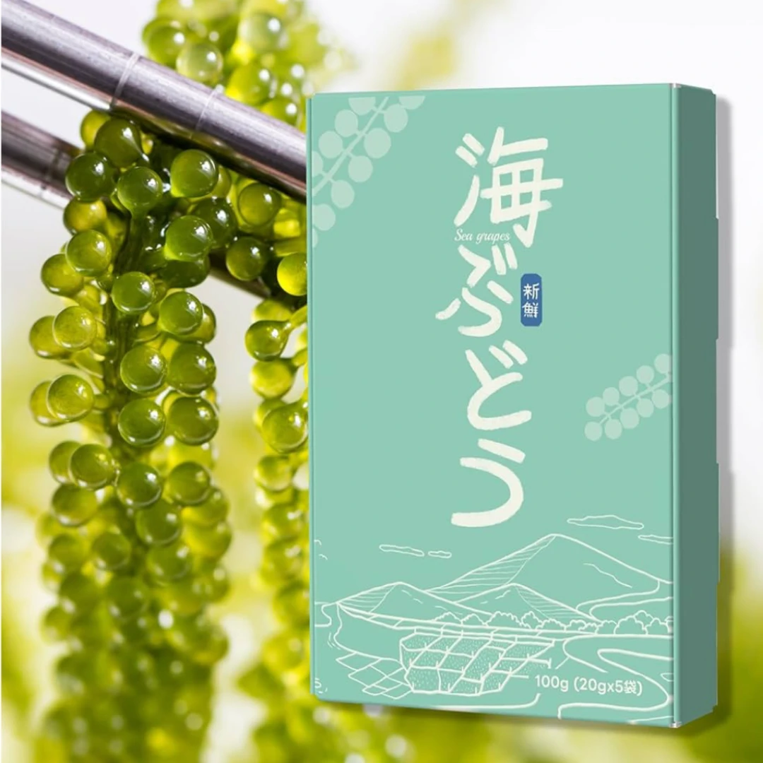 UMIBUDŌ - FRESH WILD SEA GRAPES - Caulerpa lentillifera.png