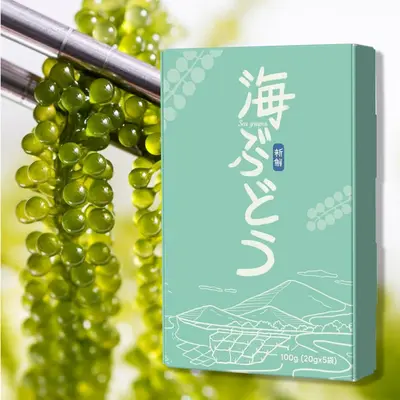 UMIBUDŌ - FRESH WILD SEA GRAPES - Caulerpa lentillifera.png
