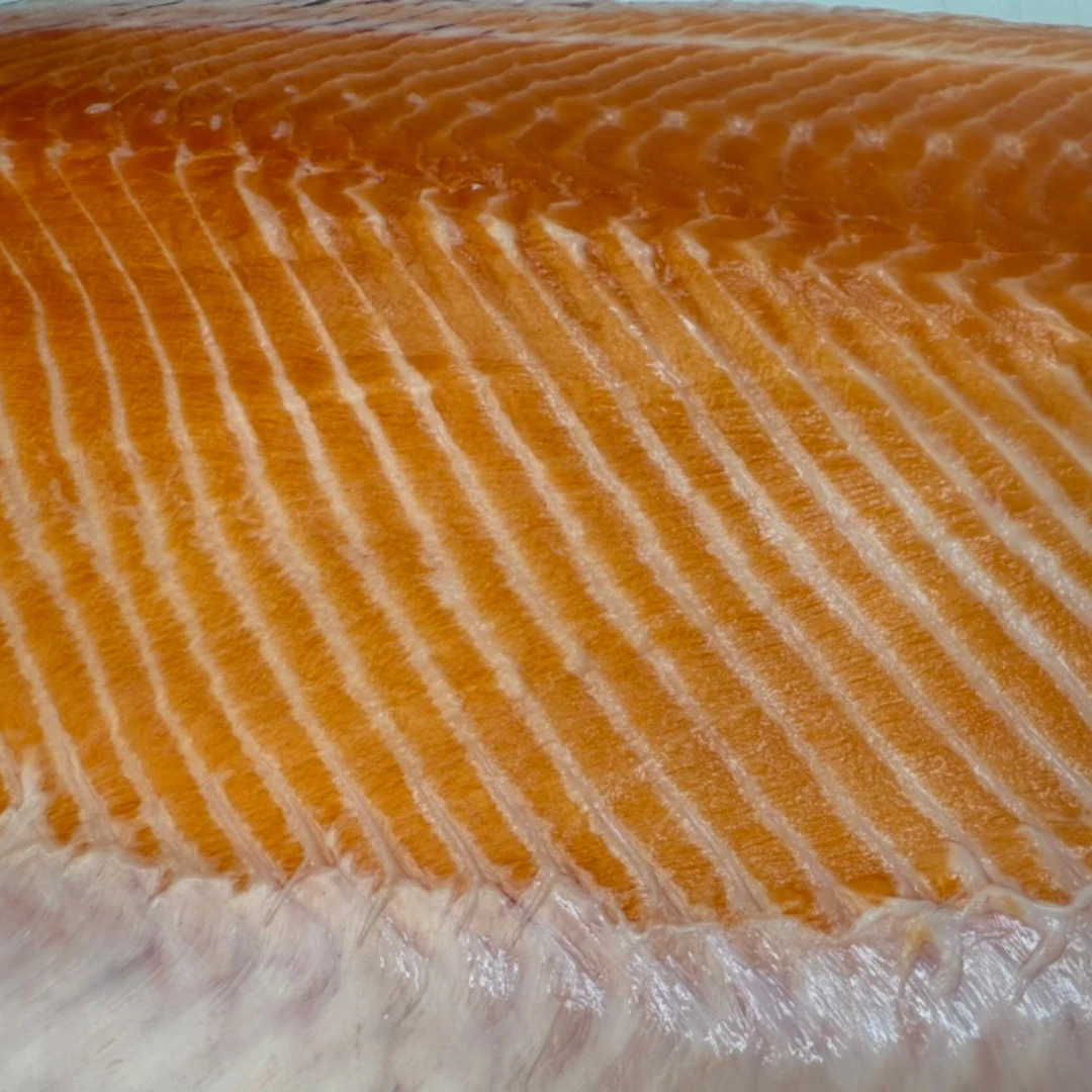 KINGU SĀMON YOSHOKU - FRESH FARMED KING SALMON FILLET - Oncorhynchus tshawytscha.png