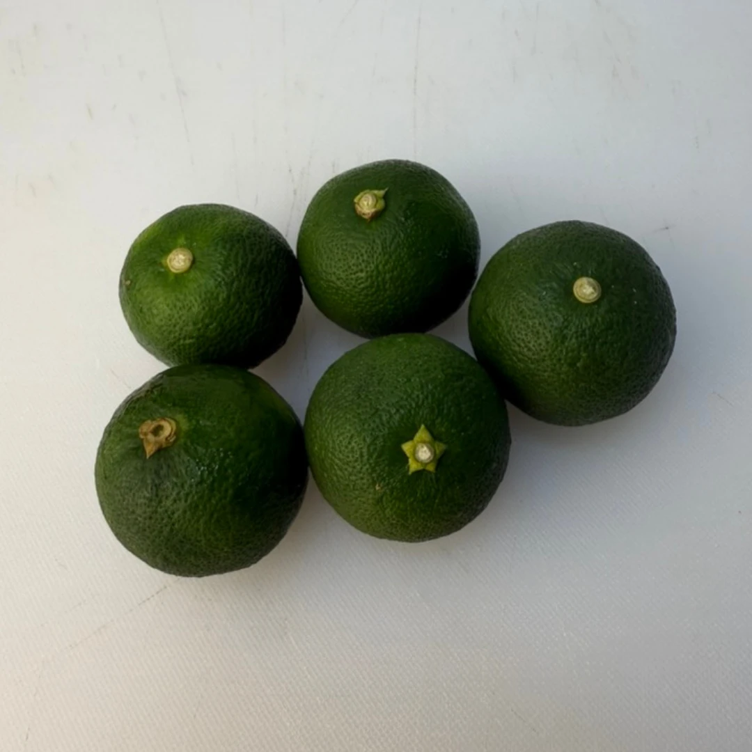 SUDACHI - Citrus sudachi.png