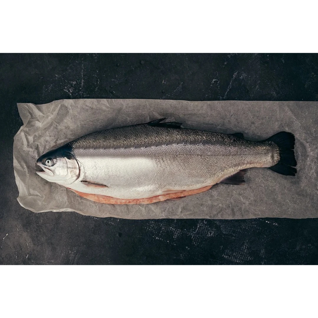 NIJIMASU - FRESH FARMED MòR SCOTTISH STEELHEAD TROUT - Oncorhynchus mykiss.png