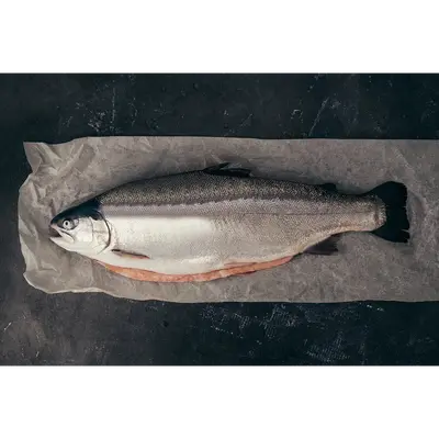 NIJIMASU - FRESH FARMED MòR SCOTTISH STEELHEAD TROUT - Oncorhynchus mykiss.png