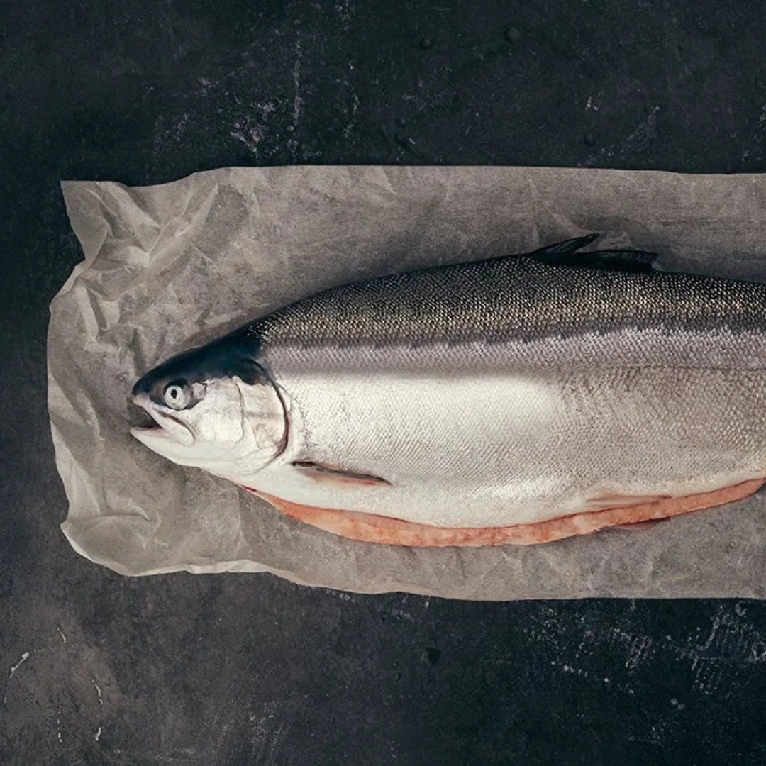 NIJIMASU - FRESH FARMED MòR SCOTTISH STEELHEAD TROUT - Oncorhynchus mykiss (2).png