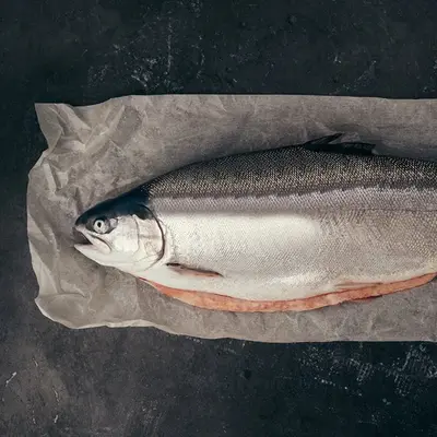 NIJIMASU - FRESH FARMED MòR SCOTTISH STEELHEAD TROUT - Oncorhynchus mykiss (2).png