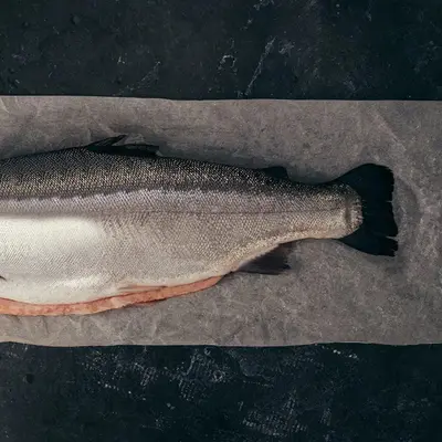 NIJIMASU - FRESH FARMED MòR SCOTTISH STEELHEAD TROUT - Oncorhynchus mykiss (3).png