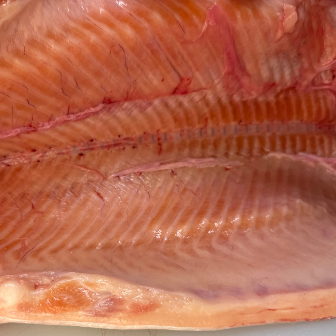 NIJIMASU - FRESH FARMED MòR SCOTTISH STEELHEAD TROUT - Oncorhynchus mykiss (6).png