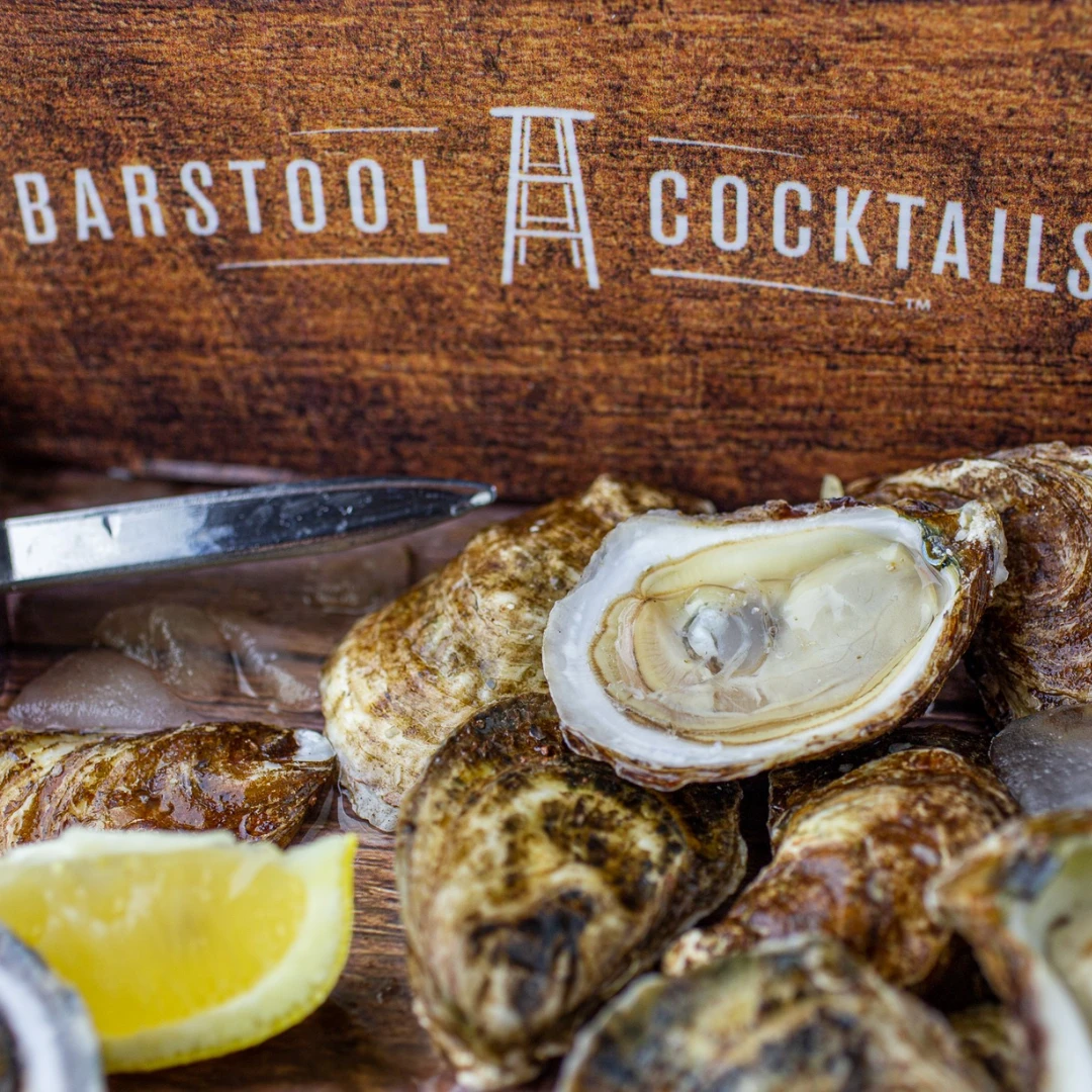 BARSTOOL KAKI - EAST COAST OYSTERS - Crassostrea virginica.png
