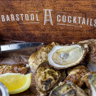 Barstool Oysters XS 8.3dz (100 ct.) Prince Edward Island