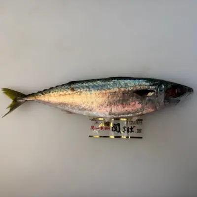 関サバ  Seki Saba WHOLE 1 LB