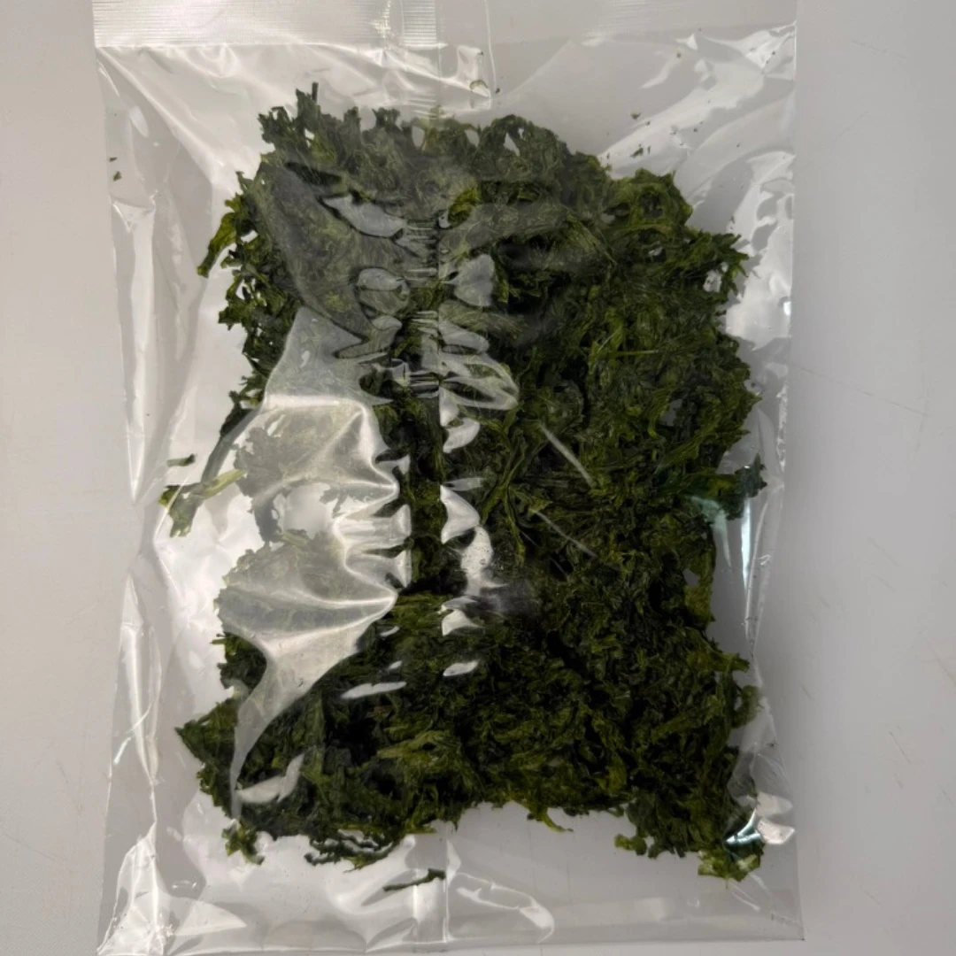 AOSA NORI - GREEN SEAWEED - Porphyra yezoensis (3).png