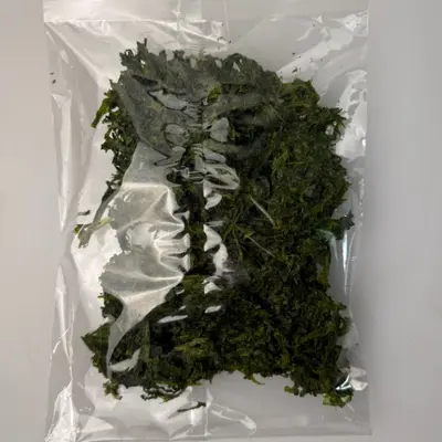 AOSA NORI - GREEN SEAWEED - Porphyra yezoensis (3).png
