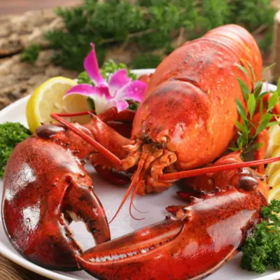 オマール海老  Lobster Jumbos 2-3 lb