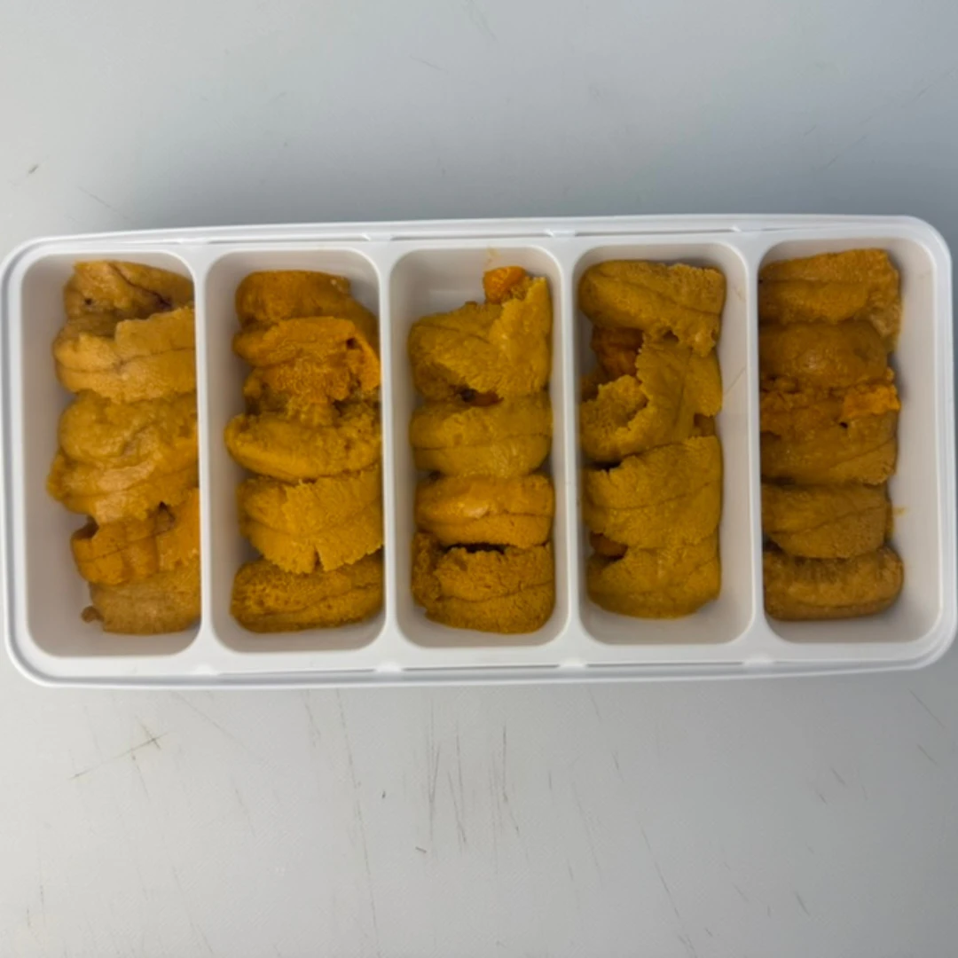 BC GREEN UNI - FRESH SEA URCHIN - Strongylocentrotus droebachiensis.png