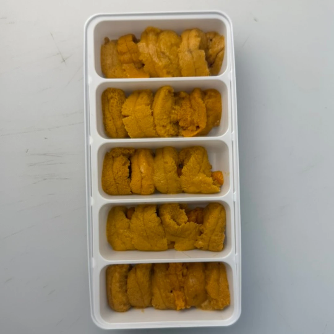 BC GREEN UNI - FRESH SEA URCHIN - Strongylocentrotus droebachiensis (2).png