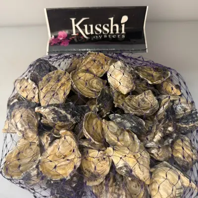 Kusshi Oysters Petite 5dz