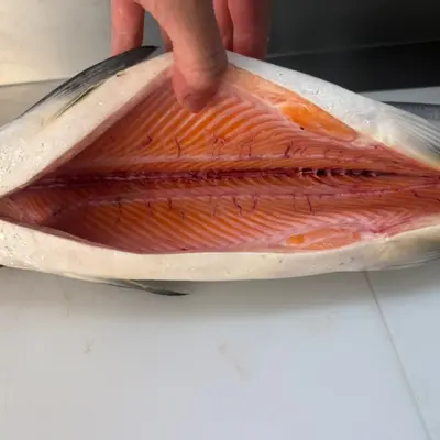 KINGU SĀMON TENNEN - FRESH WILD KING SALMON HEAD ON - Oncorhynchus tshawytscha (3).png