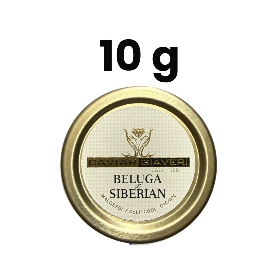 CHŌZAME NO KYABIA - BELUGA x SIBERIAN HYBRID STURGEON CAVIAR - Huso huso × Acipenser baerii.png