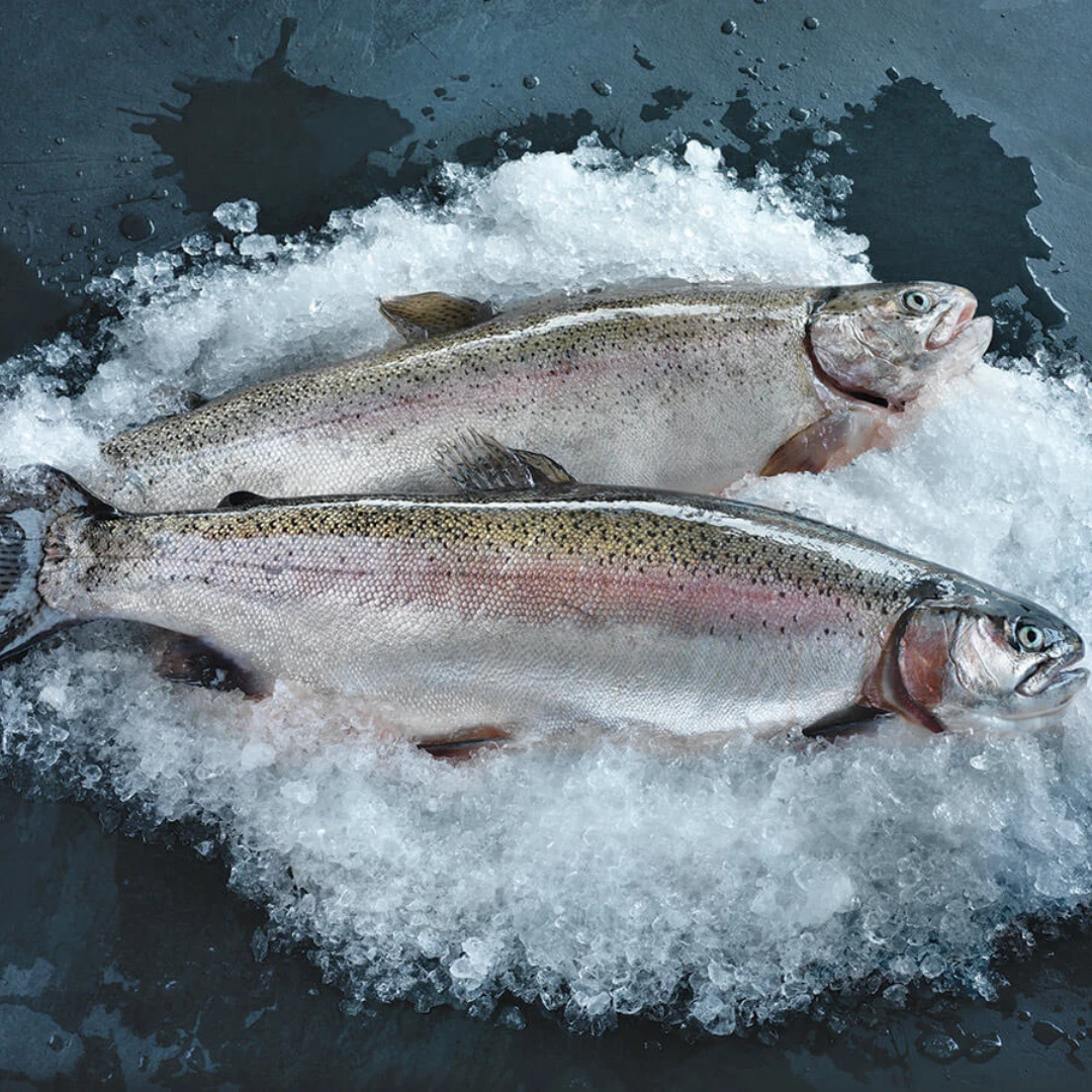 NIJIMASU – FRESH FARMED U.S. STEELHEAD TROUT – Oncorhynchus mykiss.png