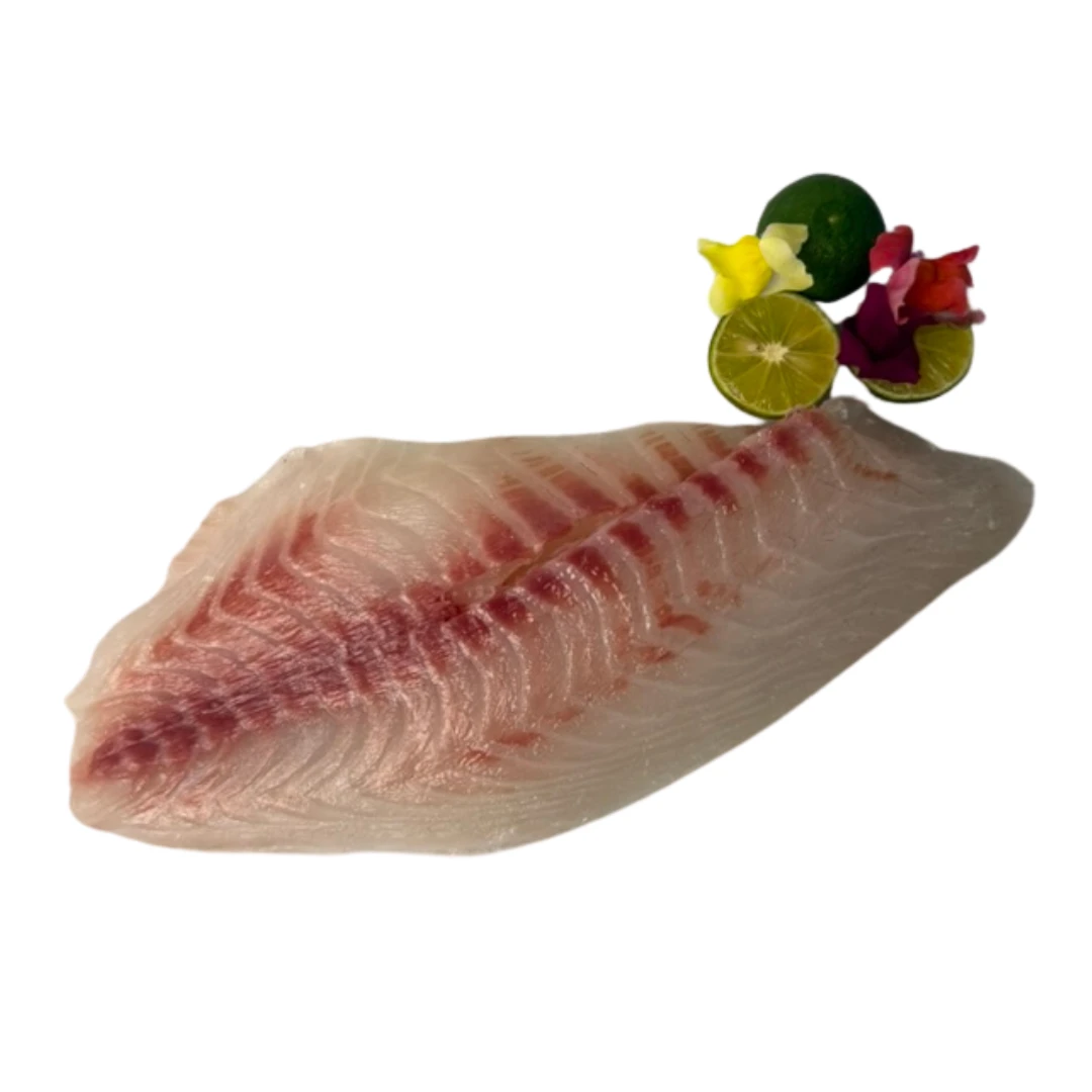 Madai fillet.png