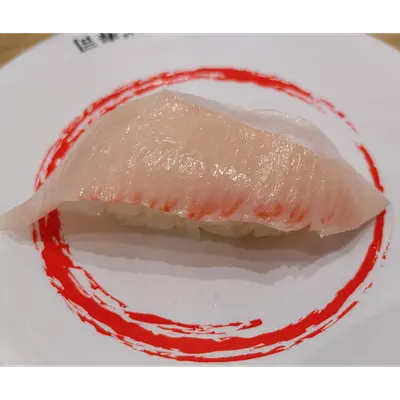 Farmed Yellowtail (Hamachi) _ Fresh _ Japan.png