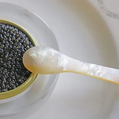 Caviar Spoon – Mosaic Handle | 4.75 in