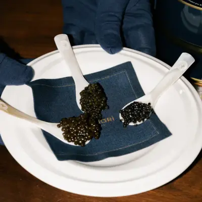 Caviar Spoon - Mother of Pearl (3).png